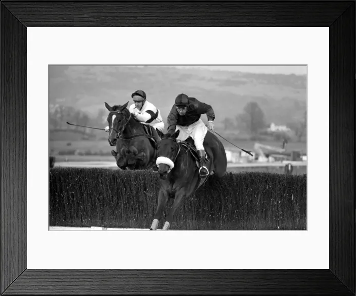 Framed Print : Cheltenham Express Triumph Hurdle 1972. Zarib wins from Dorlesa