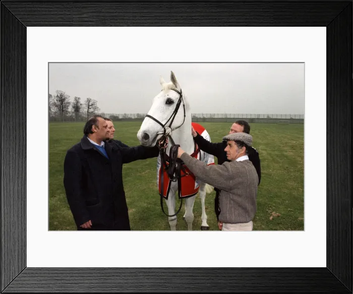 Framed Print : Racing legend Desert Orchid visits inmates at Ashwell Prison, Leicestershire Framed Print : Racing legend Desert Orchid visits inmates at Ashwell Prison, Leicestershire