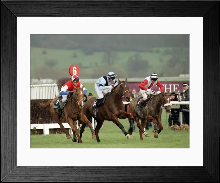 Framed Print : Cheltenham Festival 1990. Gold Cup Race won by 100 / 1 outsider Nortons Coin Framed Print : Cheltenham Festival 1990. Gold Cup Race won by 100 / 1 outsider Nortons Coin