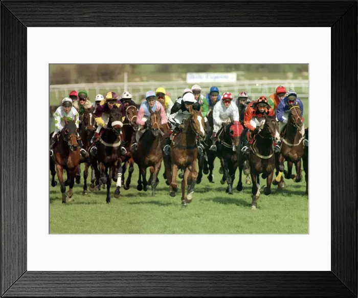 Framed Print : Cheltenham Festival 1990. Gold Cup Race won by 100 / 1 outsider Norton Framed Print : Cheltenham Festival 1990. Gold Cup Race won by 100 / 1 outsider Norton