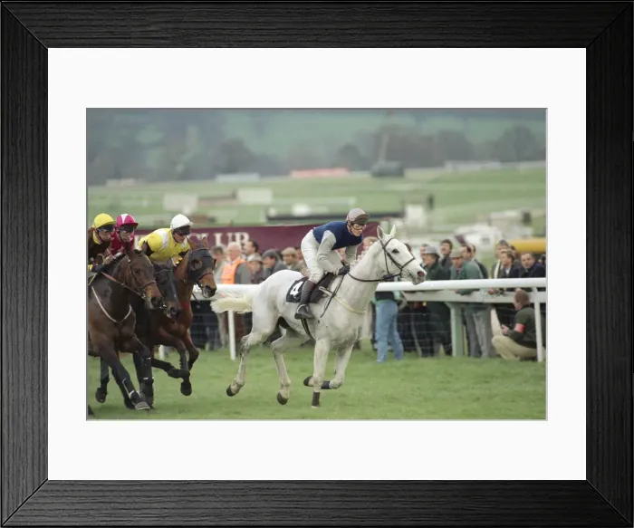 Framed Print : Jockey Richard Dunwoody on Desert Orchid leading the pack during the Gold Cup race Framed Print : Jockey Richard Dunwoody on Desert Orchid leading the pack during the Gold Cup race