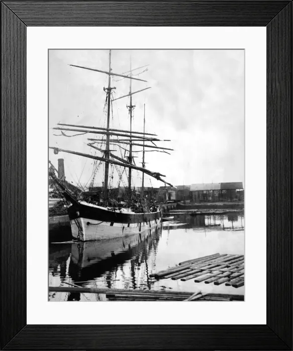 Framed Print : The Swedish Barque sailing ship Rolf at Sunderland unloading timber