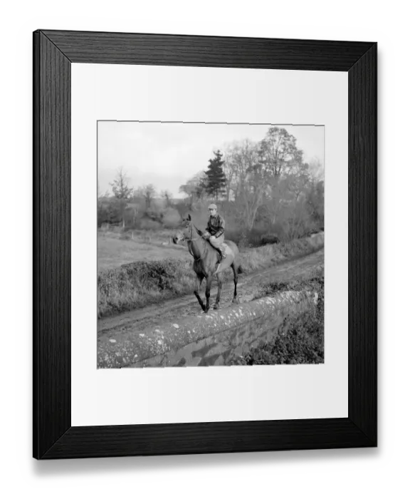 Framed Print : A day in the life of Arkle. 21st November 1965