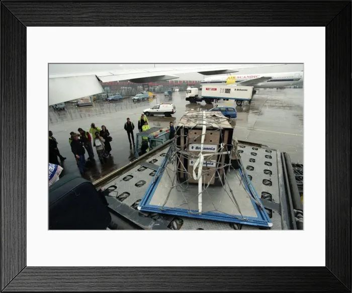 Framed Print : Roque the Tiger arrives in the UK on his way to the Born Free Sanctuary in Headcorn Kent Framed Print : Roque the Tiger arrives in the UK on his way to the Born Free Sanctuary in Headcorn Kent