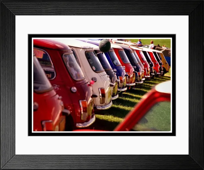 Framed Print : Various Mini Motor Cars at Silverstone for 40th anniversary celebrations August 1999 Framed Print : Various Mini Motor Cars at Silverstone for 40th anniversary celebrations August 1999