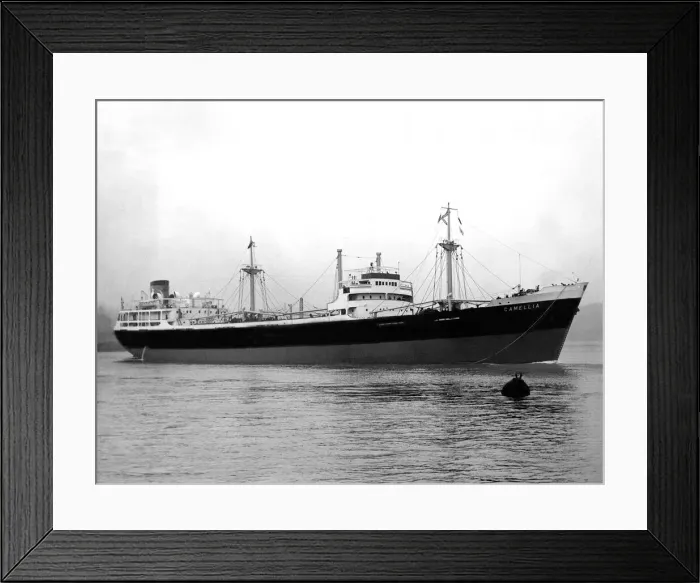 Framed Print : The SS Camellia in 1953 Framed Print : The SS Camellia in 1953