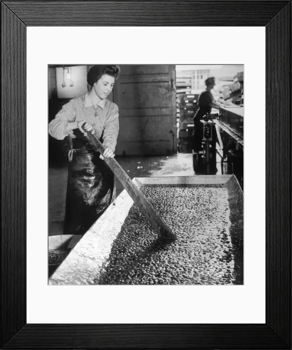 Framed Print : A female factory worker stirring strawberries to be made into jam at Wisbech Smedleys