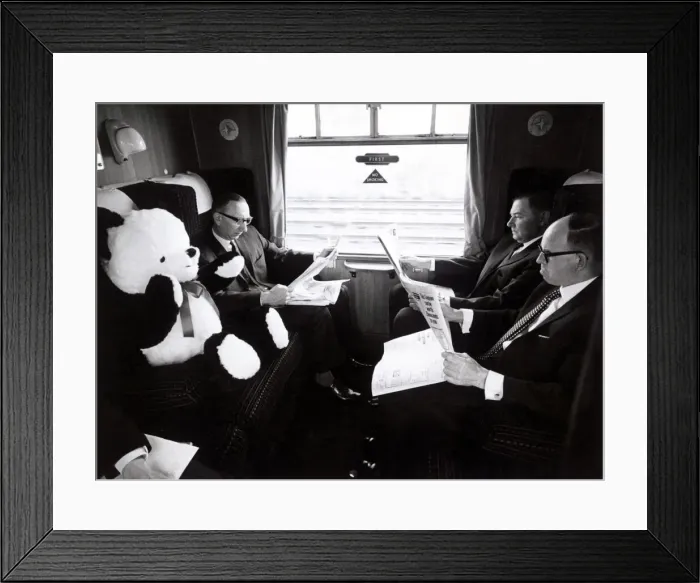 Framed Print : In best British fashion, fellow passengers ignore Peter the panda in a carriage on board Framed Print : In best British fashion, fellow passengers ignore Peter the panda in a carriage on board