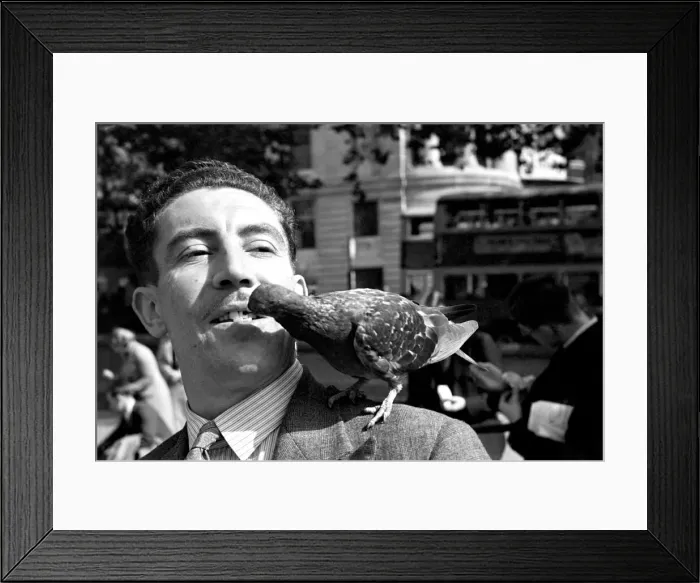 Framed Print : Pigeons in Trafalgar Square. January 1939 OL307J-003 Framed Print : Pigeons in Trafalgar Square. January 1939 OL307J-003