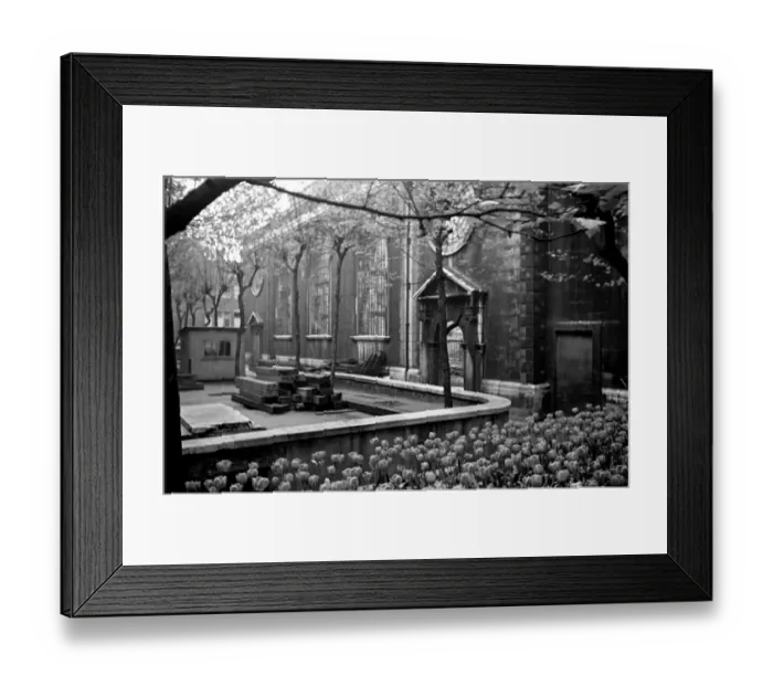 Framed Print : Flowers growing amongst the bomb damaged St Brides Church in Fleet Street, London