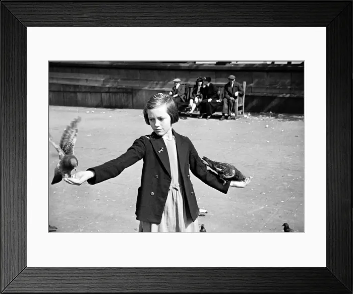 Framed Print : Pigeons in Trafalgar Square. January 1939 OL307J-006