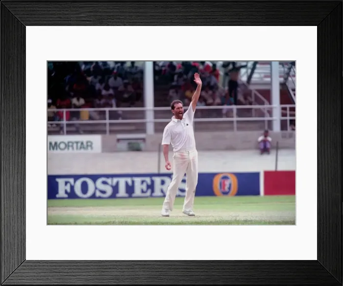 Framed Print : February 1990 90-1082-104 International Test Match Cricket. West Indies vs England