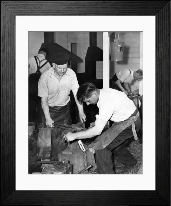 Framed Print : W. Woodhaugh (left) and Sergt. Coffey, both of the Royal Army Veternary Corps Framed Print : W. Woodhaugh (left) and Sergt. Coffey, both of the Royal Army Veternary Corps