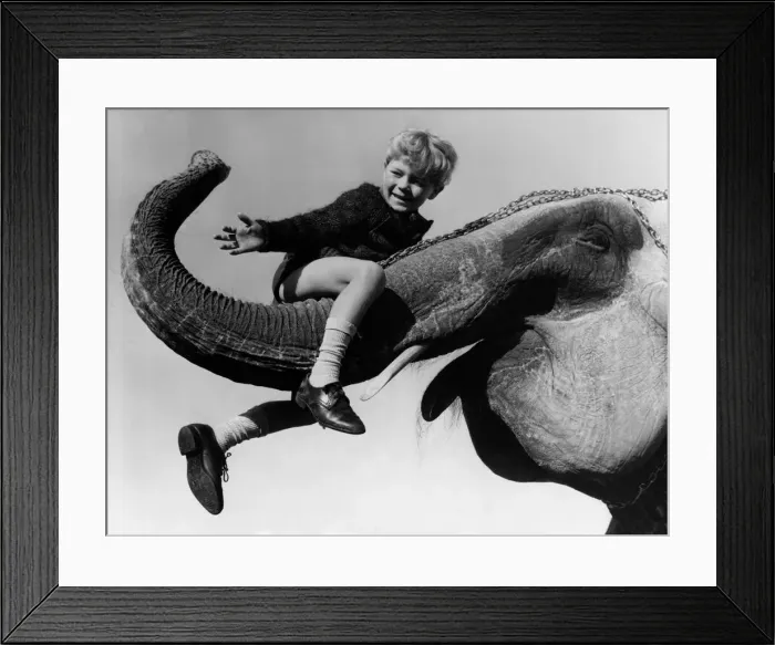 Framed Print : Animals - Children with Elephants. October 1965 P000472 Framed Print : Animals - Children with Elephants. October 1965 P000472