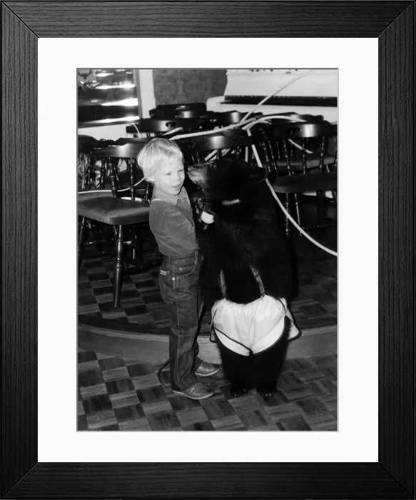 Framed Print : Animals - Bears. Partners. Salt takes up a classic pose with young Bryn Hansom Framed Print : Animals - Bears. Partners. Salt takes up a classic pose with young Bryn Hansom