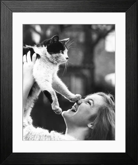 Framed Print : Animals - Cats. 15 years old Sarah Bower with her cat Marcus which spent 3 1 / 2 week Framed Print : Animals - Cats. 15 years old Sarah Bower with her cat Marcus which spent 3 1 / 2 week