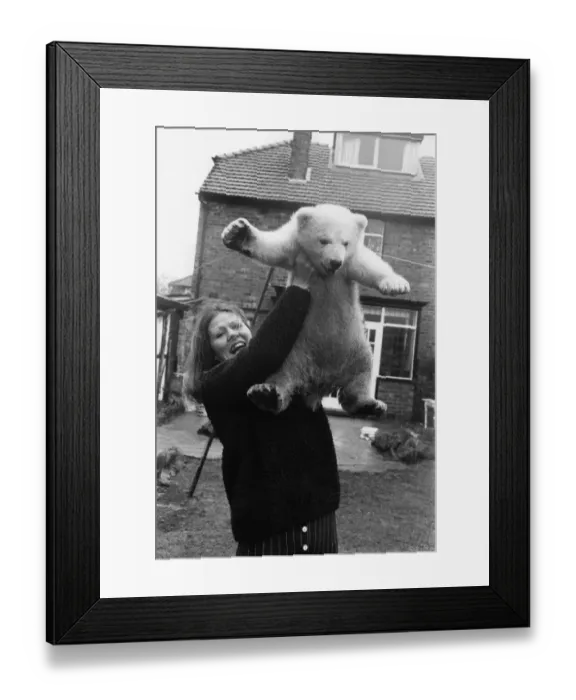 Framed Print : Animals - Polar Bear - Heave Ho! Lesley hoists up the polar bear cub but she won