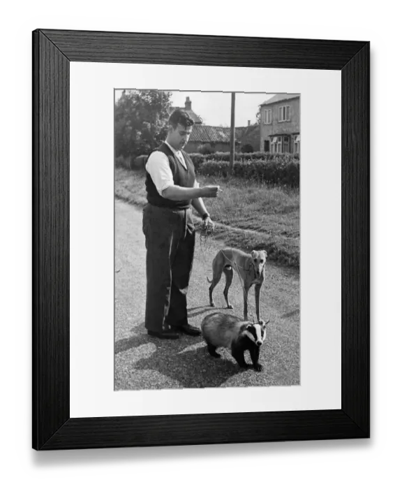 Framed Print : Brock the Badger and Mick the Greyhound with Mr. Harry Smith