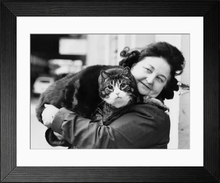 Framed Print : Animals - Cats Fat. Purr-fect partners... tiddles with doting owner June Watson Framed Print : Animals - Cats Fat. Purr-fect partners... tiddles with doting owner June Watson