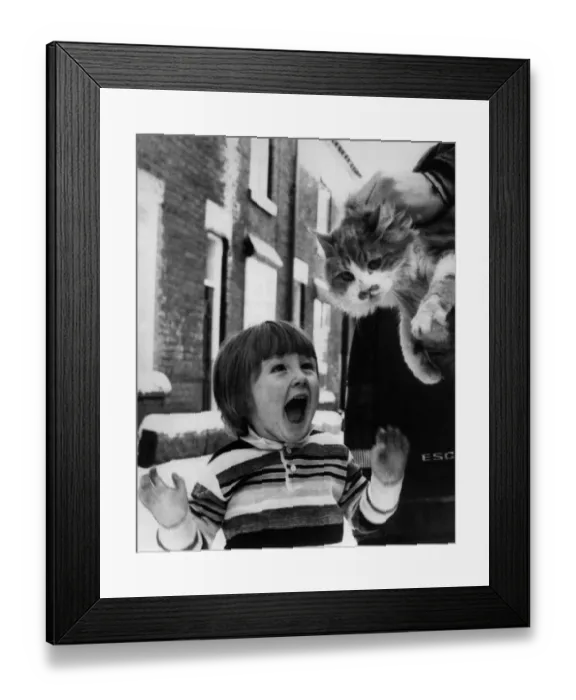 Framed Print : Animals - Cats. Home Again... Daniel Gudjoc welcomes Sammy home. December 1983 P000425