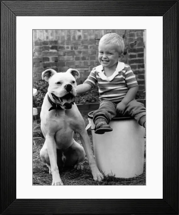 Framed Print : Animals - Dogs children friendship. August 1985 P000615 Framed Print : Animals - Dogs children friendship. August 1985 P000615