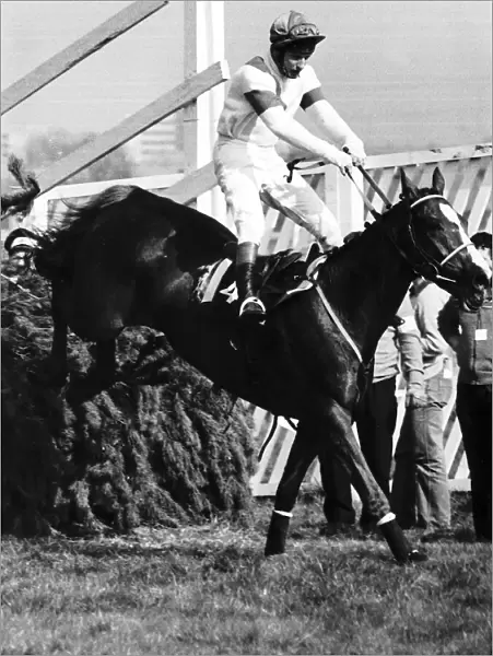 No46 Aldaniti with Bob Champion jumps the last fence to win the 1981 Grand National at