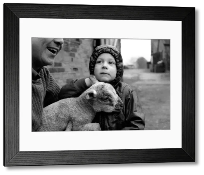 Framed Print : Children / Animals / Cute. Lamb and Child. December 1976 76-07533-002 Framed Print : Children / Animals / Cute. Lamb and Child. December 1976 76-07533-002