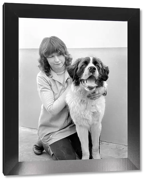 Battersea Dogs Home: St. Barnard. March 1975 75-01645-004