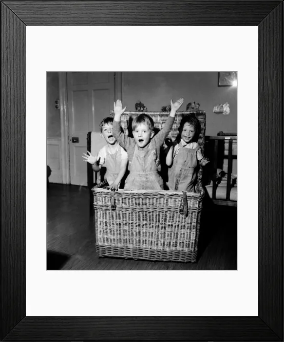 Framed Print : The three stages of a surprise. Creeping into the basket : The closing of the lid Framed Print : The three stages of a surprise. Creeping into the basket : The closing of the lid