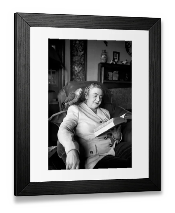 Framed Print : Mrs. Millicent Bruce lecturing on Shakespeare seen here with her pet parrot Henry Framed Print : Mrs. Millicent Bruce lecturing on Shakespeare seen here with her pet parrot Henry