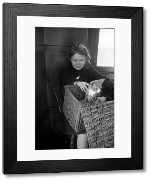 Framed Print : RSPCA Hospital. little girl with her sickly cat wait to see the vets