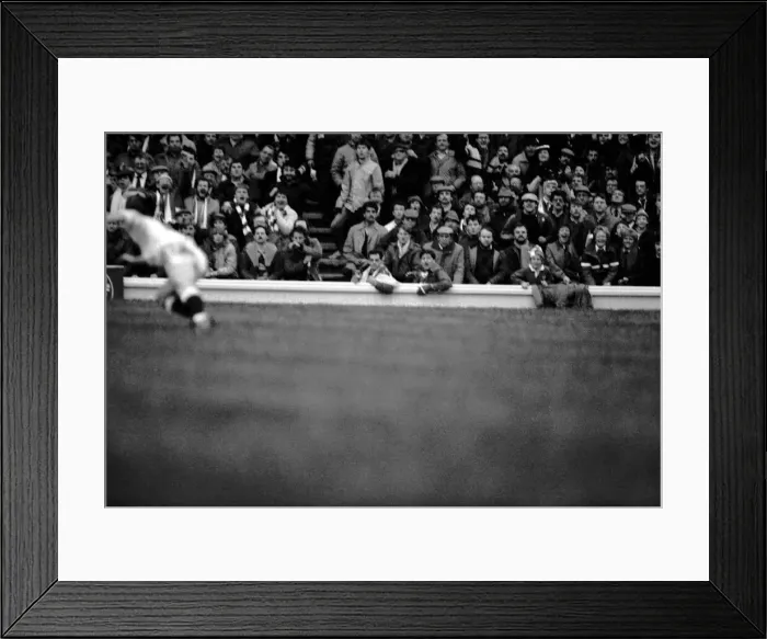 Framed Print : International Rugby Union. England v. Wales. January 1986 PR-04-137 Framed Print : International Rugby Union. England v. Wales. January 1986 PR-04-137