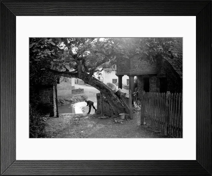Framed Print : Rural Scenes. August 1936 OL302C Framed Print : Rural Scenes. August 1936 OL302C