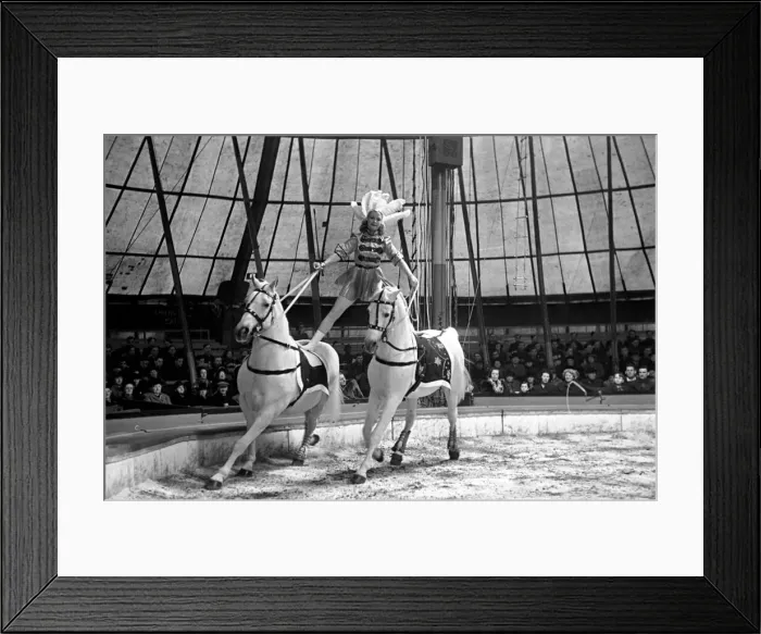 Framed Print : Bertram Mills Circus at Luton. April 1950 O23401