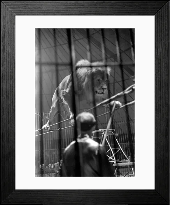 Framed Print : Bertram Mills Circus at Luton. April 1950 O23401-014 Framed Print : Bertram Mills Circus at Luton. April 1950 O23401-014