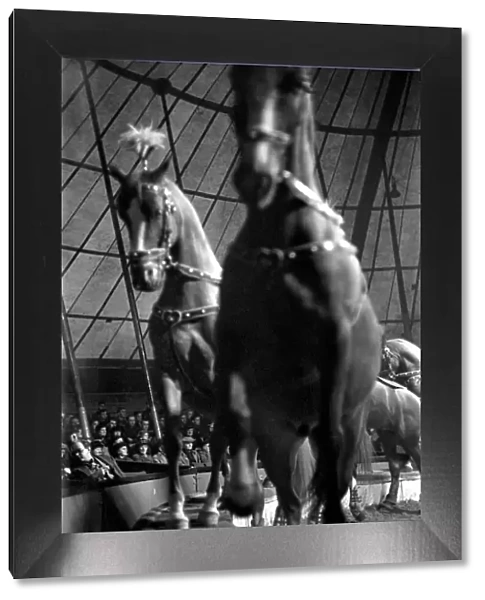 Bertram Mills Circus at Luton. April 1950 O23401-001
