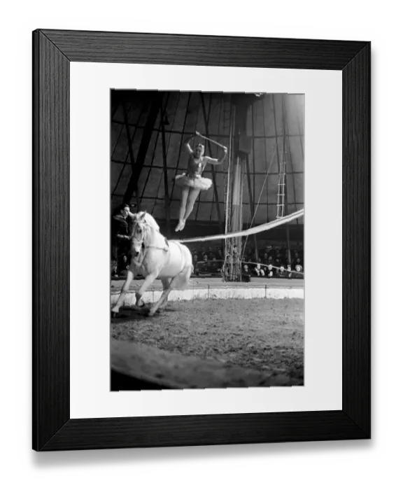 Framed Print : Bertram Mills Circus at Luton. April 1950 O23401-005 Framed Print : Bertram Mills Circus at Luton. April 1950 O23401-005