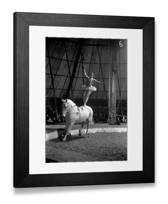 Framed Print : Bertram Mills Circus at Luton. April 1950 O23401-003 Framed Print : Bertram Mills Circus at Luton. April 1950 O23401-003