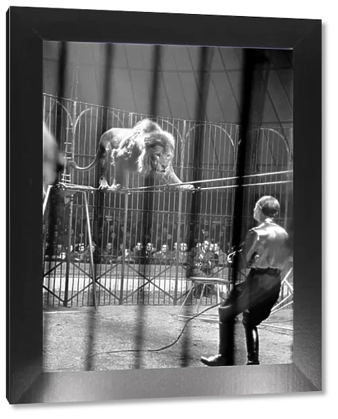 Bertram Mills Circus at Luton. April 1950 O23401-012