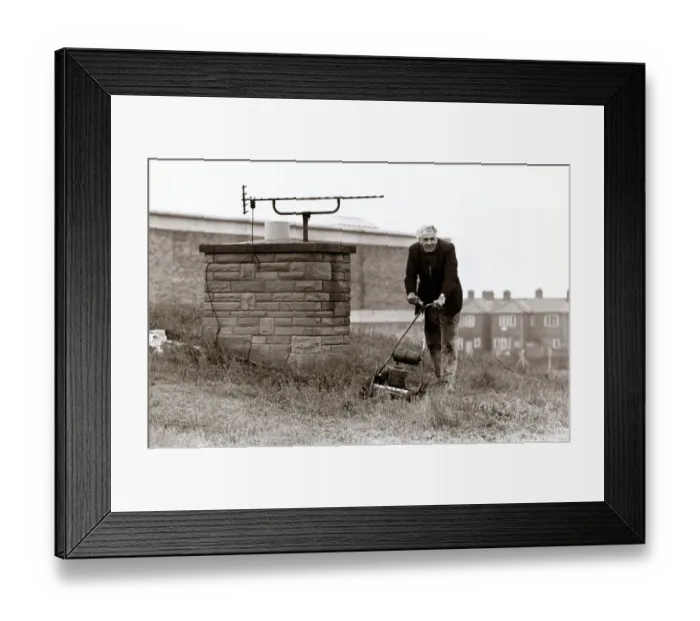 Framed Print : Unusual - Rooftop Garden - Harold Cooper of Gilesgate Moor Framed Print : Unusual - Rooftop Garden - Harold Cooper of Gilesgate Moor