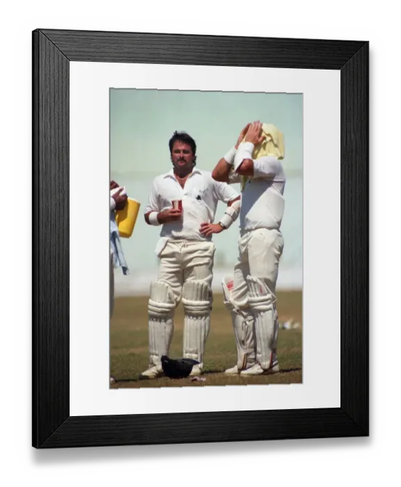 Framed Print : Cricket 1st Test. West Indies v. England. February 1990 90-1173A-042