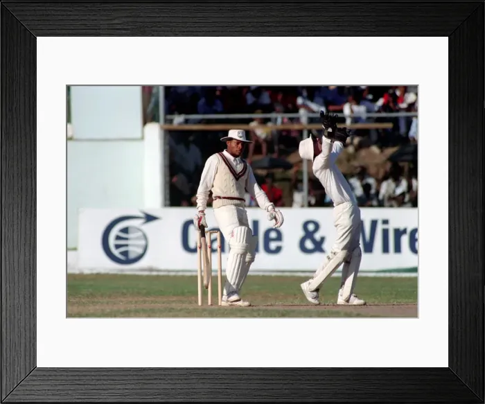 Framed Print : Cricket-3rd One Day International. West Indies v. England Framed Print : Cricket-3rd One Day International. West Indies v. England