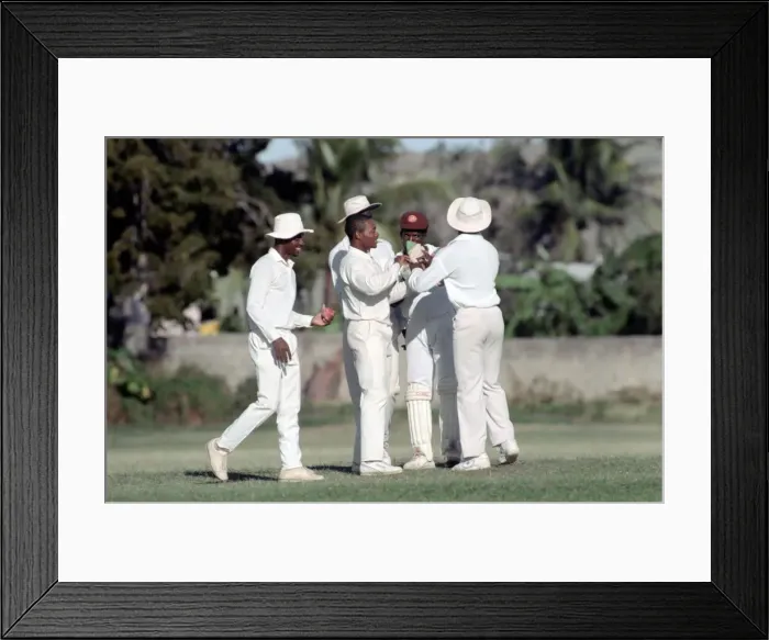 Framed Print : February 1990 90-1082-019 International Test Match Cricket. West Indies vs England Framed Print : February 1990 90-1082-019 International Test Match Cricket. West Indies vs England