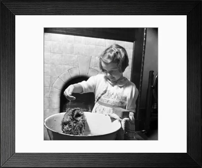 Framed Print : 6-yrs-old Gillian Proctor of Manor Road, Stretford, Lancs