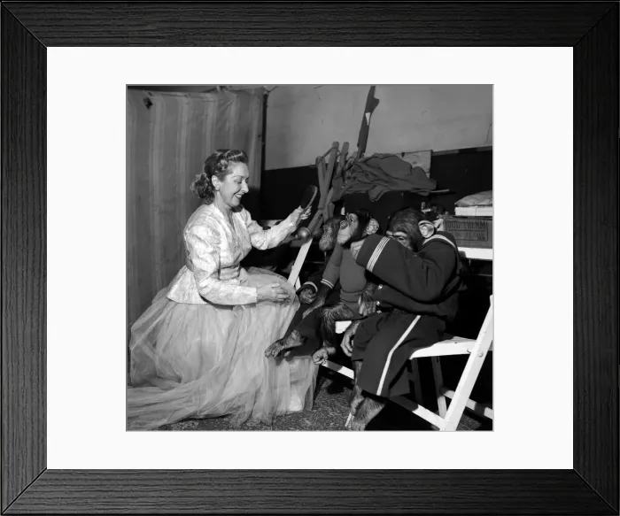 Framed Print : Rosita Smith with Chimps and Dick Whittington'. December 1952 C6333 Framed Print : Rosita Smith with Chimps and Dick Whittington'. December 1952 C6333