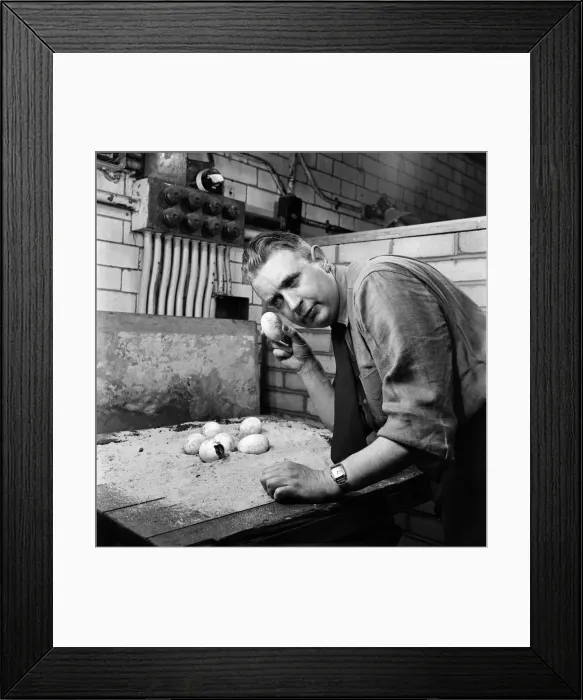 Framed Print : Is there anybody in? London Zoo keeper checking on the crocodile eggs in Framed Print : Is there anybody in? London Zoo keeper checking on the crocodile eggs in