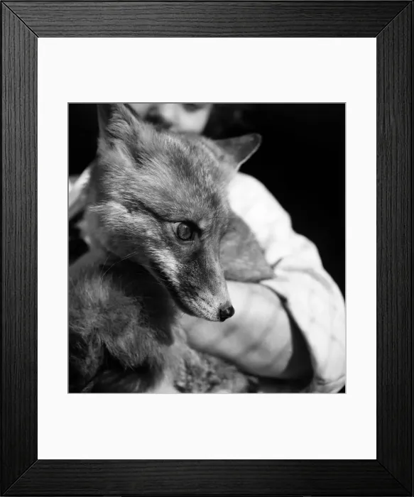 Framed Print : Miss Pat Ormond - P. D. S. A. and Red Fox Betsy'. October 1952 C5326