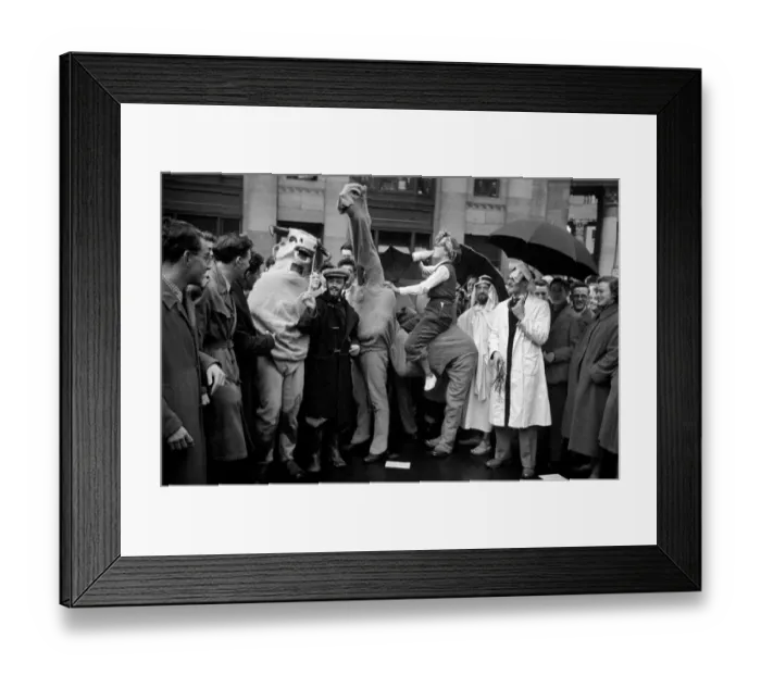 Framed Print : London University students Rag'. October 1952 C5183-001