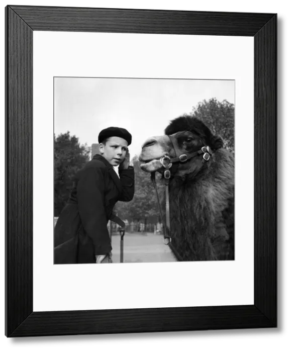Framed Print : Speak up I can t hear you. London Zoo. Richard Roles and Willy