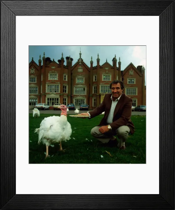 Framed Print : Bernard Matthews feeding turkey, December 1983 Framed Print : Bernard Matthews feeding turkey, December 1983